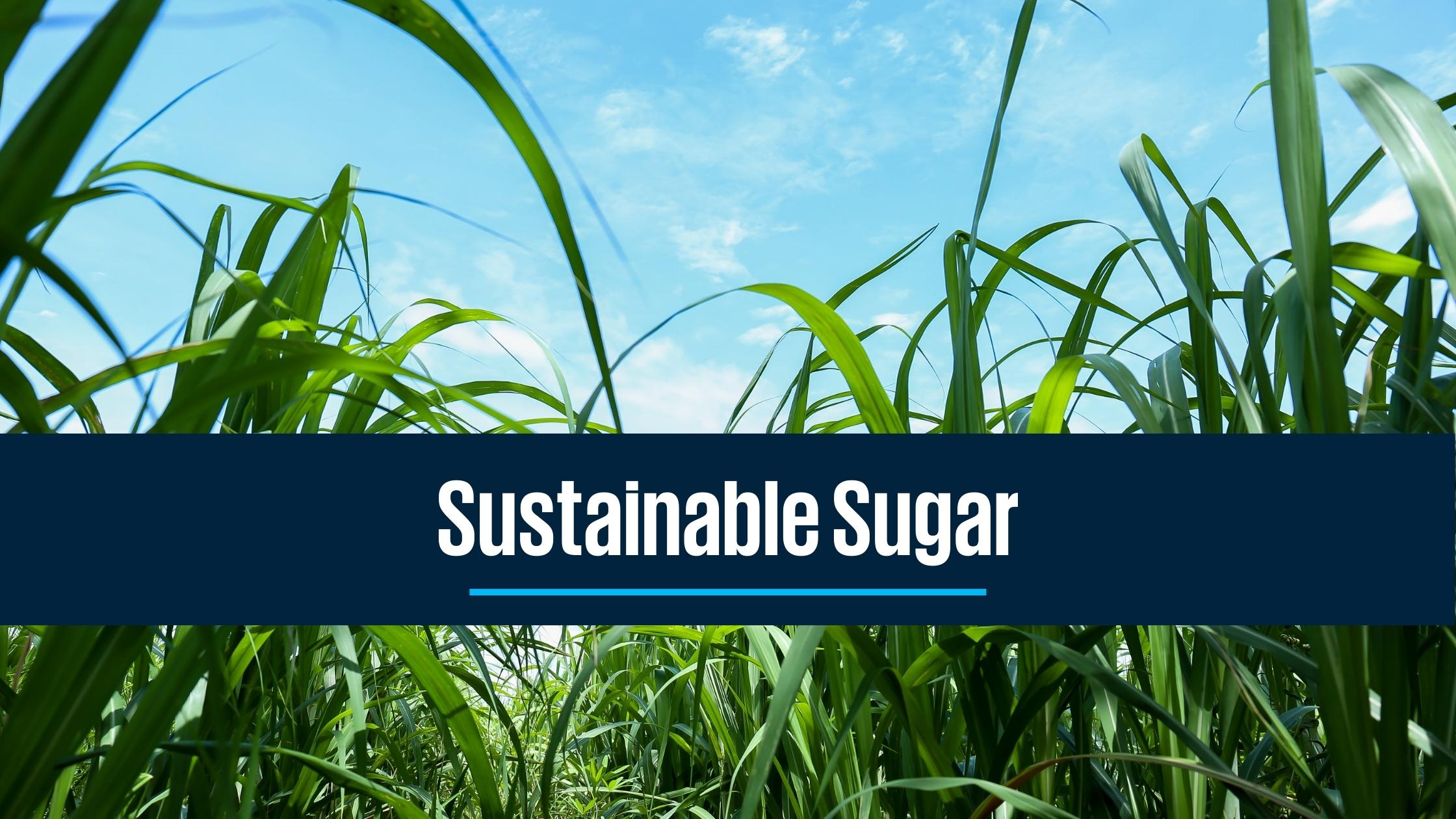 Australia ready to lead the world in sustainable sugar exports